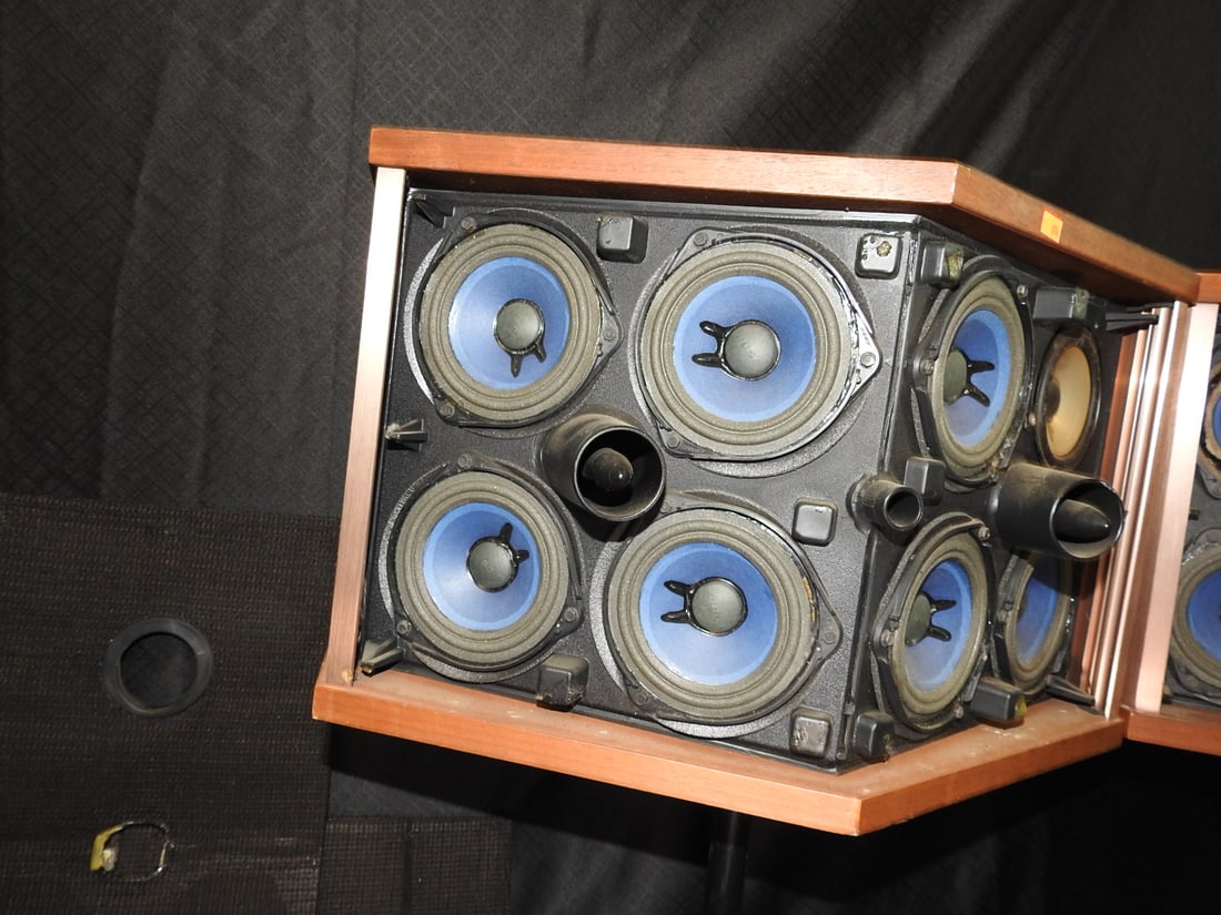 Bose 901 Series V Speakers with Tulip Stands - 12