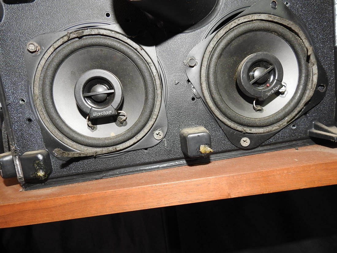 Bose 901 Series V Speakers with Tulip Stands - 2