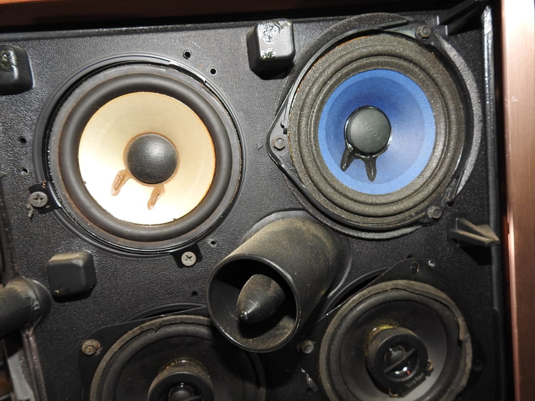 Bose 901 Series V Speakers with Tulip Stands - 3