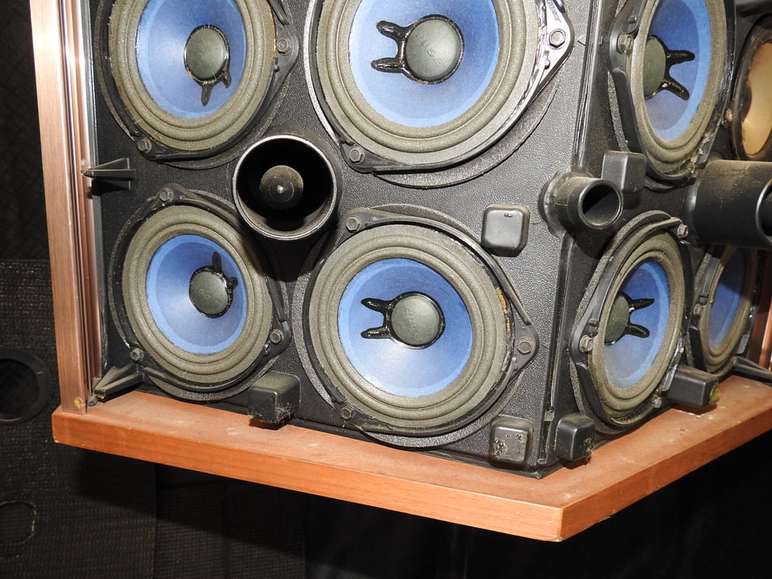 Bose 901 Series V Speakers with Tulip Stands - 6