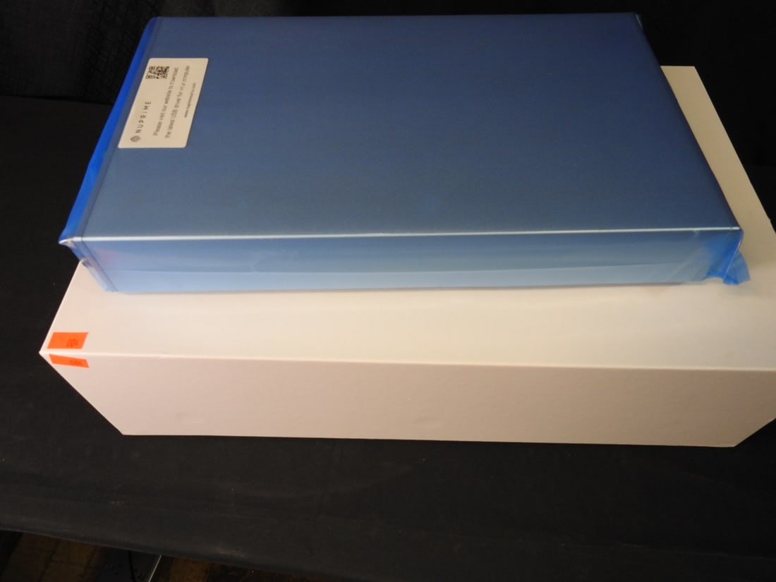 NuPrime DAC-10 Preamplifier/DAC New in Box (1 of 6)