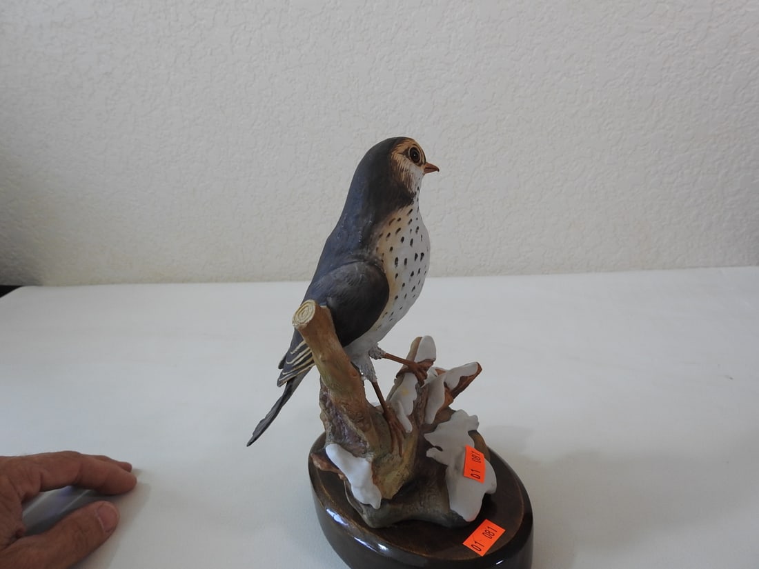 Anichini Italy Porcelain Wood Thrush Bird Figurine - 4