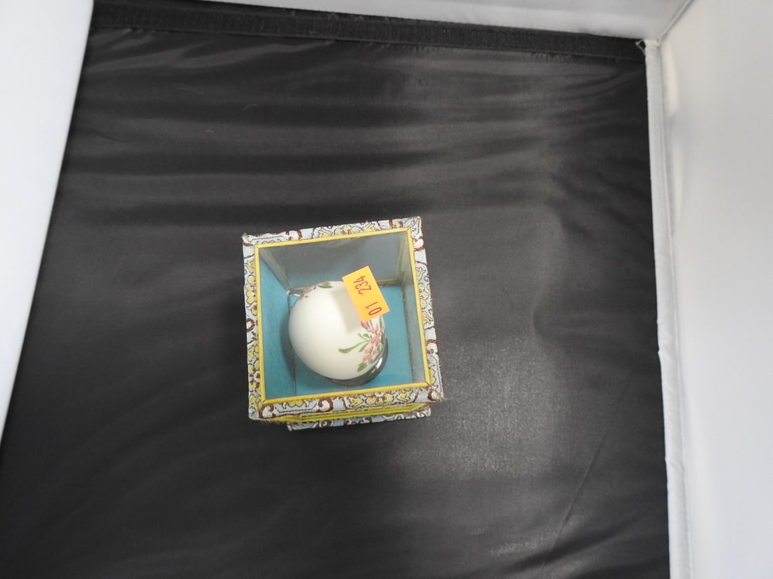 Hand-Painted Japanese Egg in Glass Display Case - 4