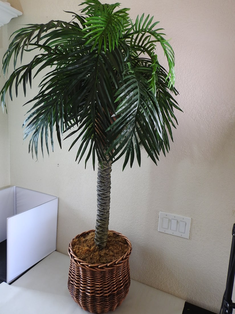 Faux Palm Tree in Basket: Faux Palm Tree in Basket Approx. 60 x 24 x 24 in.