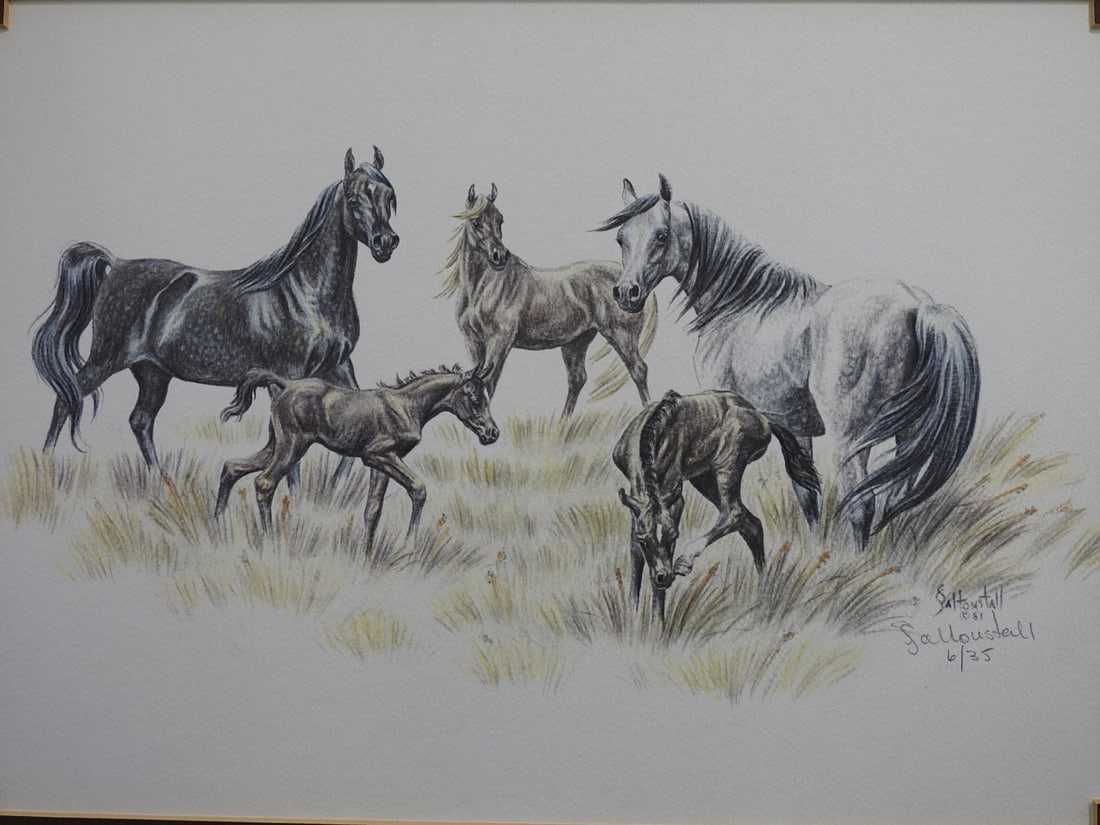 Sandy Saltonstall Arabian Horses Limited Edition Print 6/35 - 2