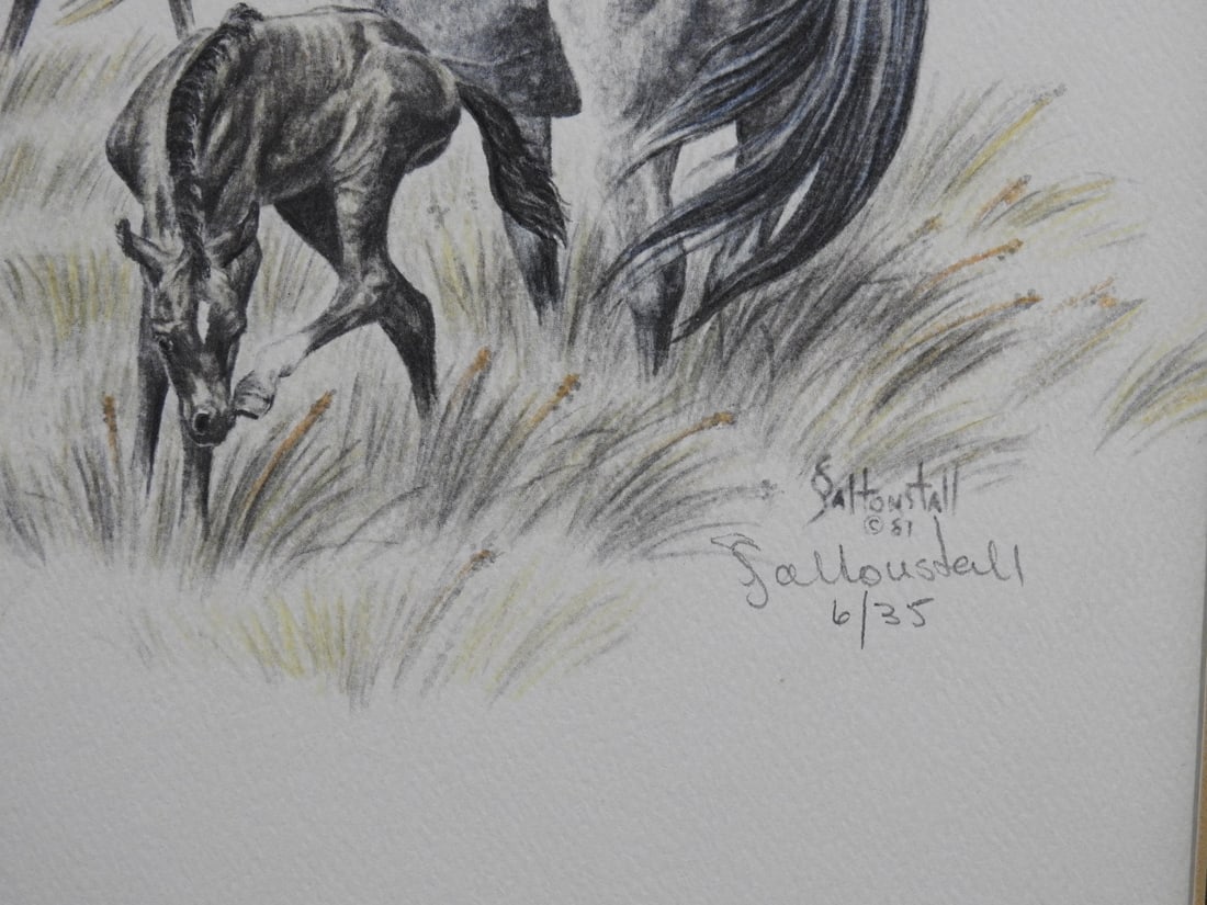 Sandy Saltonstall Arabian Horses Limited Edition Print 6/35 - 3
