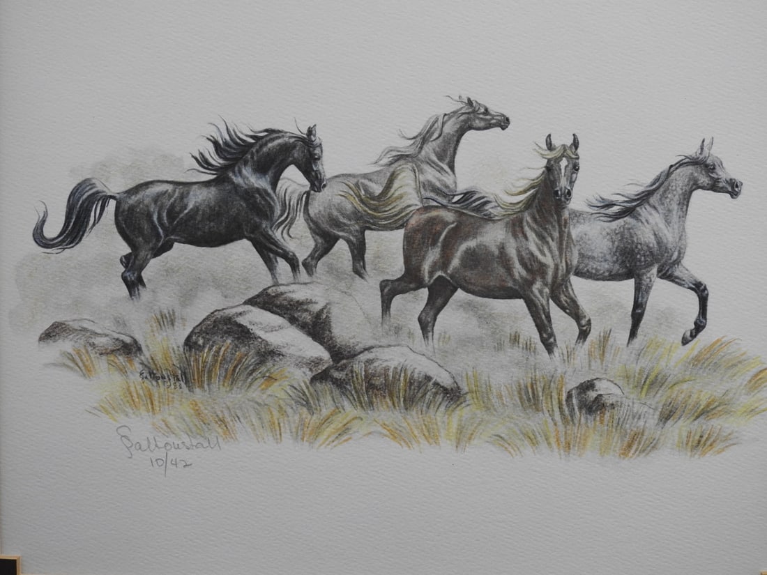 Sandy Saltonstall Arabian Horses Limited Edition Print 10/42 - 2