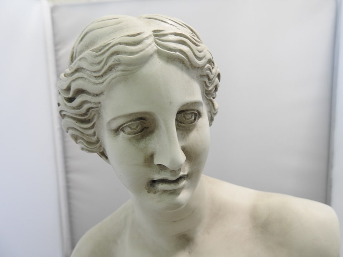 Venus de Milo Classical Resin Bust - 2