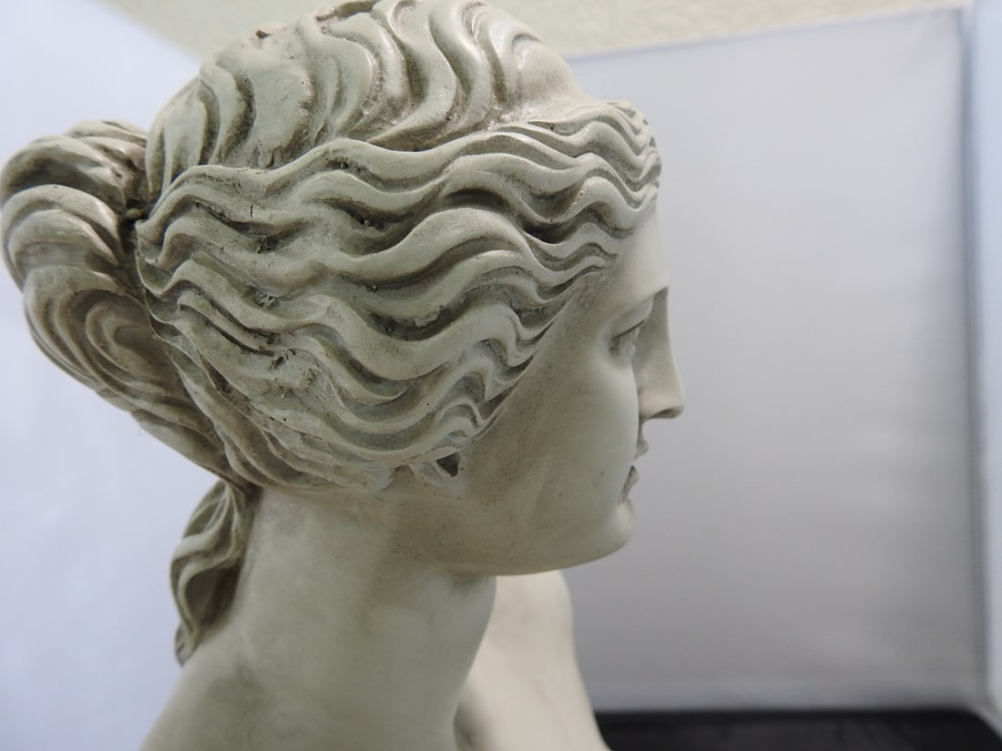 Venus de Milo Classical Resin Bust - 5