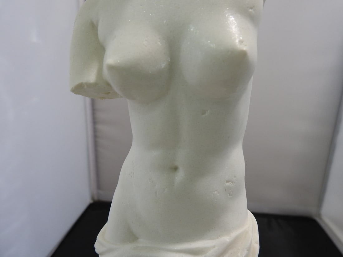 Tupton Venus de Milo Resin Statue - 4