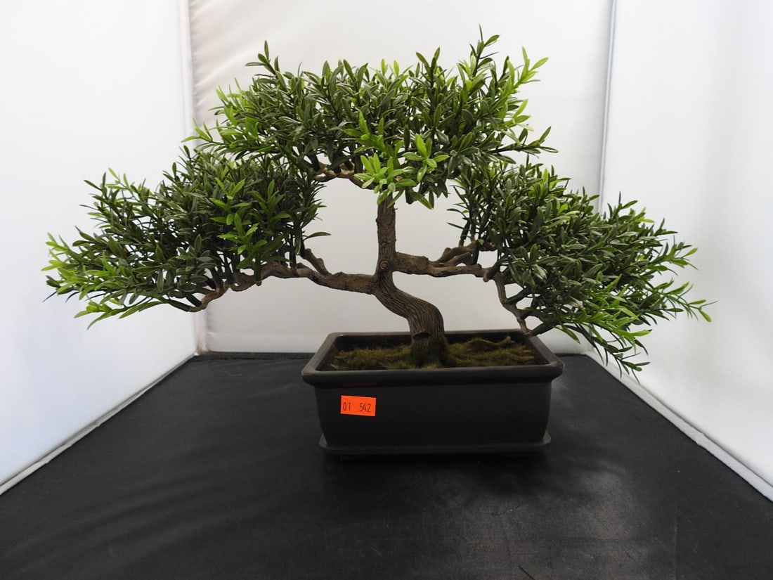 Decorative Faux Bonsai Tree: Decorative faux bonsai tree with plastic foliage on rectangular black base. Approx. 9.75 x 15.25 x 9 in.