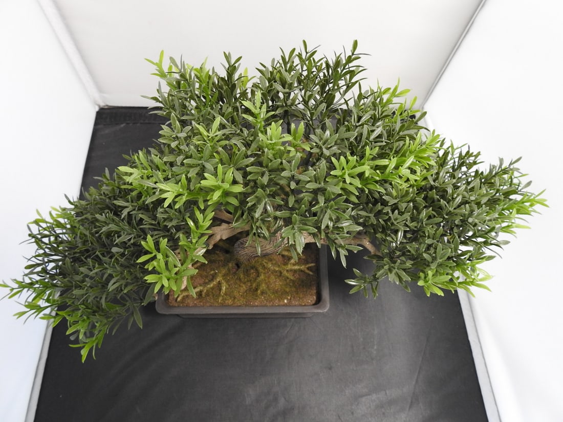 Decorative Faux Bonsai Tree - 3