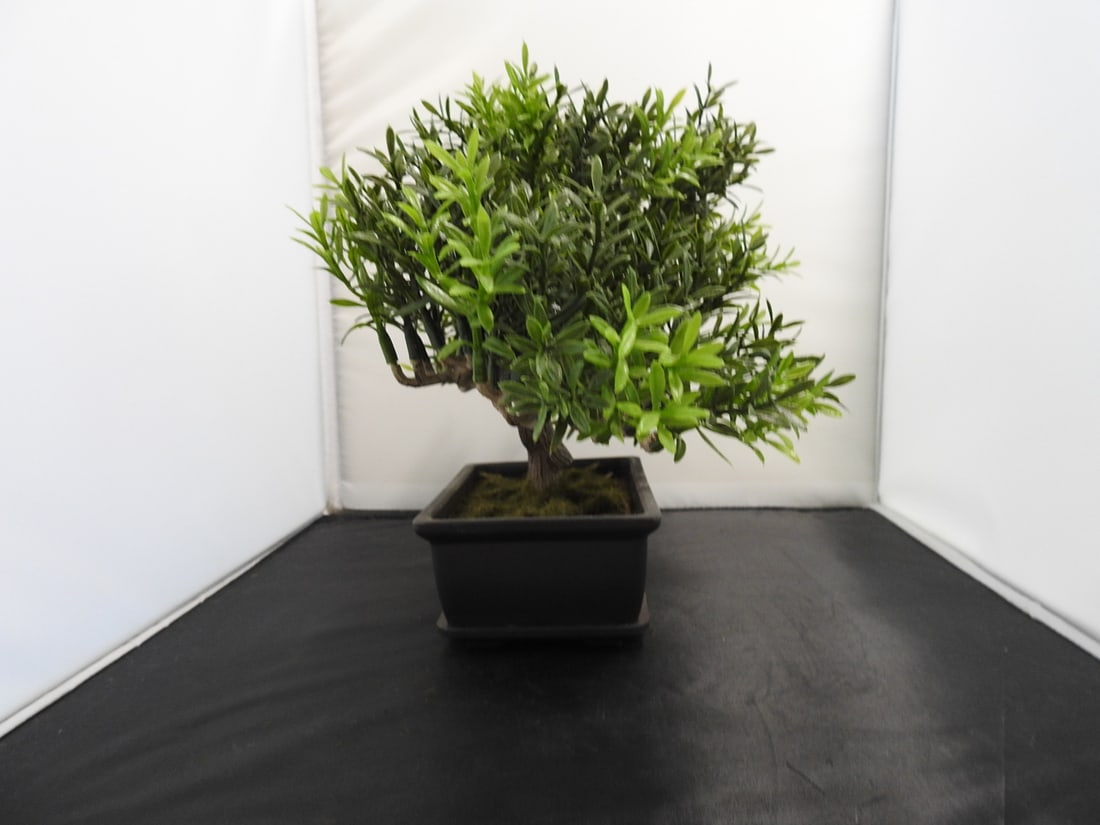 Decorative Faux Bonsai Tree - 6