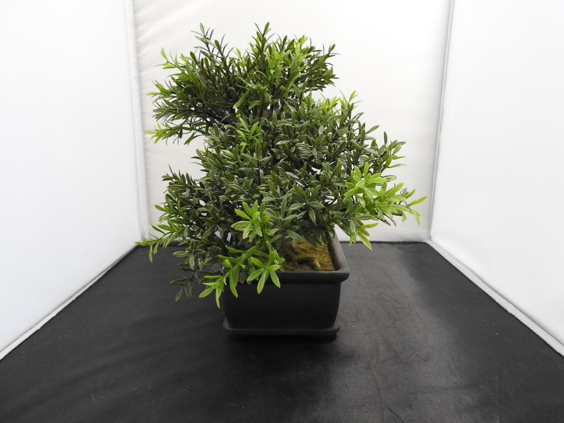 Decorative Faux Bonsai Tree - 7