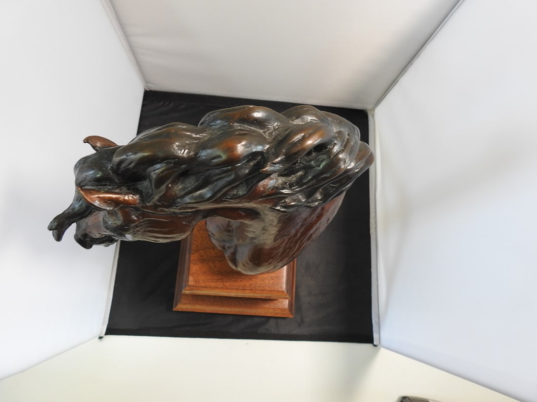 Vicki Keeling All the King's Horses Bronze Sculpture - 6