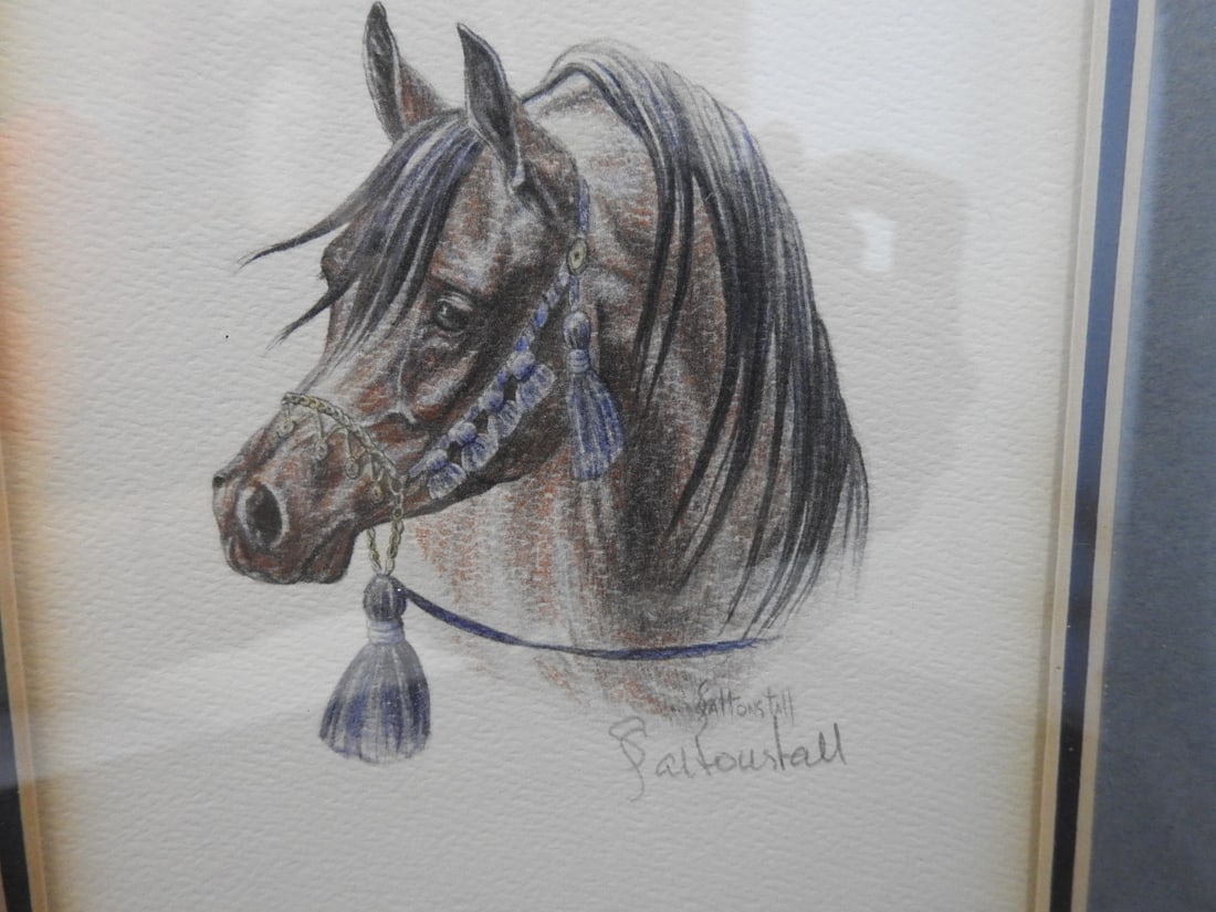 Set of 2 Sandy Saltonstall Framed Horse Limited Edition Prints - 2