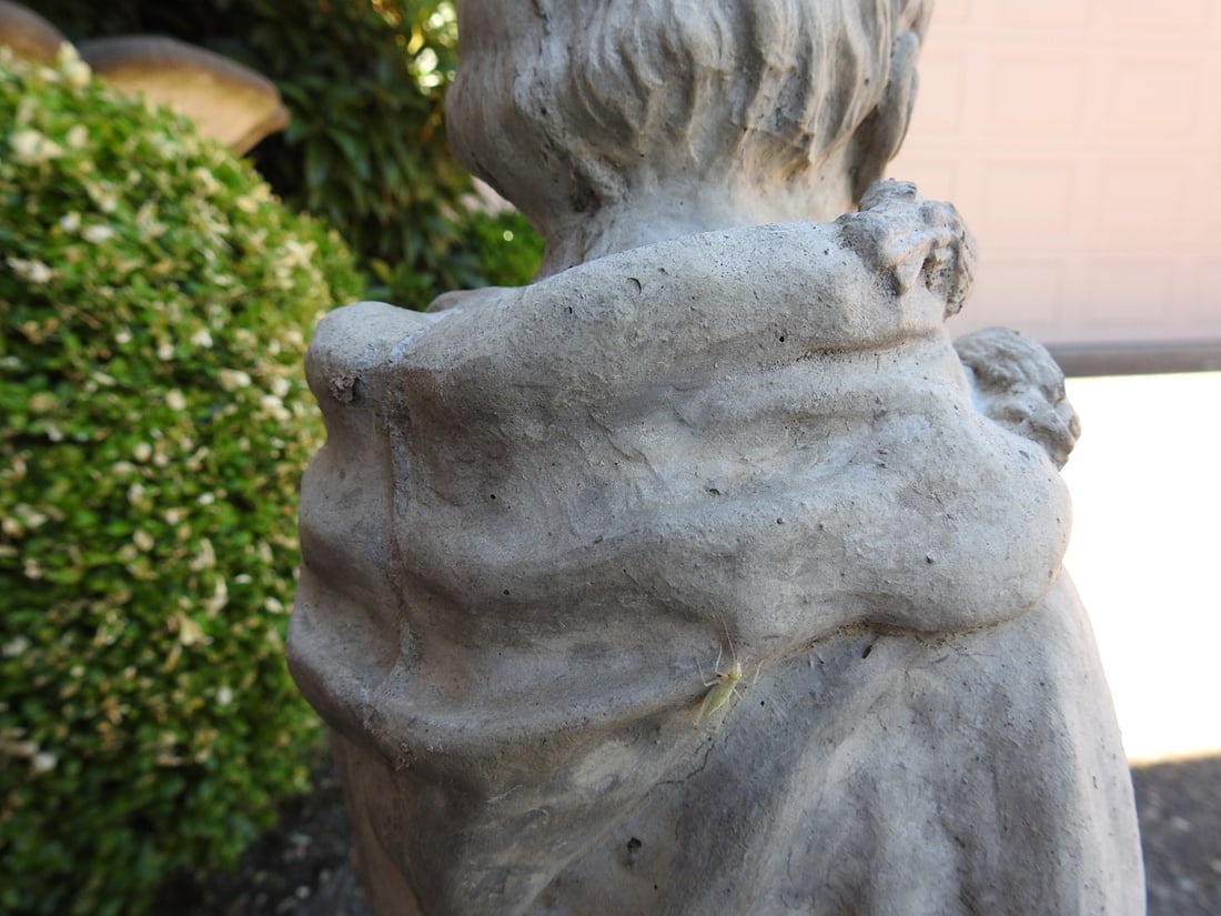 St. Francis of Assisi Classical Garden Statue - 9