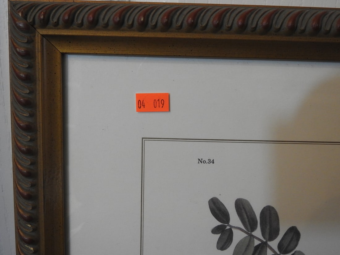 Spring Flycatcher Oval Framed Reprint - 2