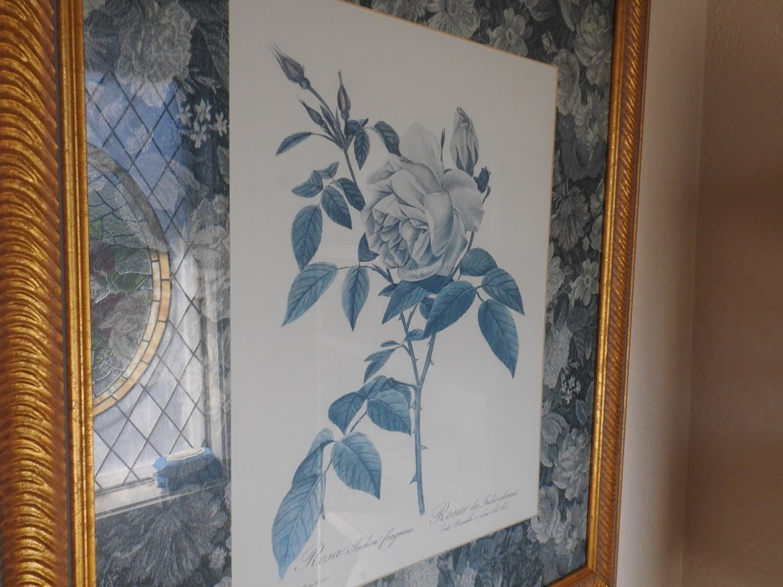 Vintage Botanical Framed Print - 3