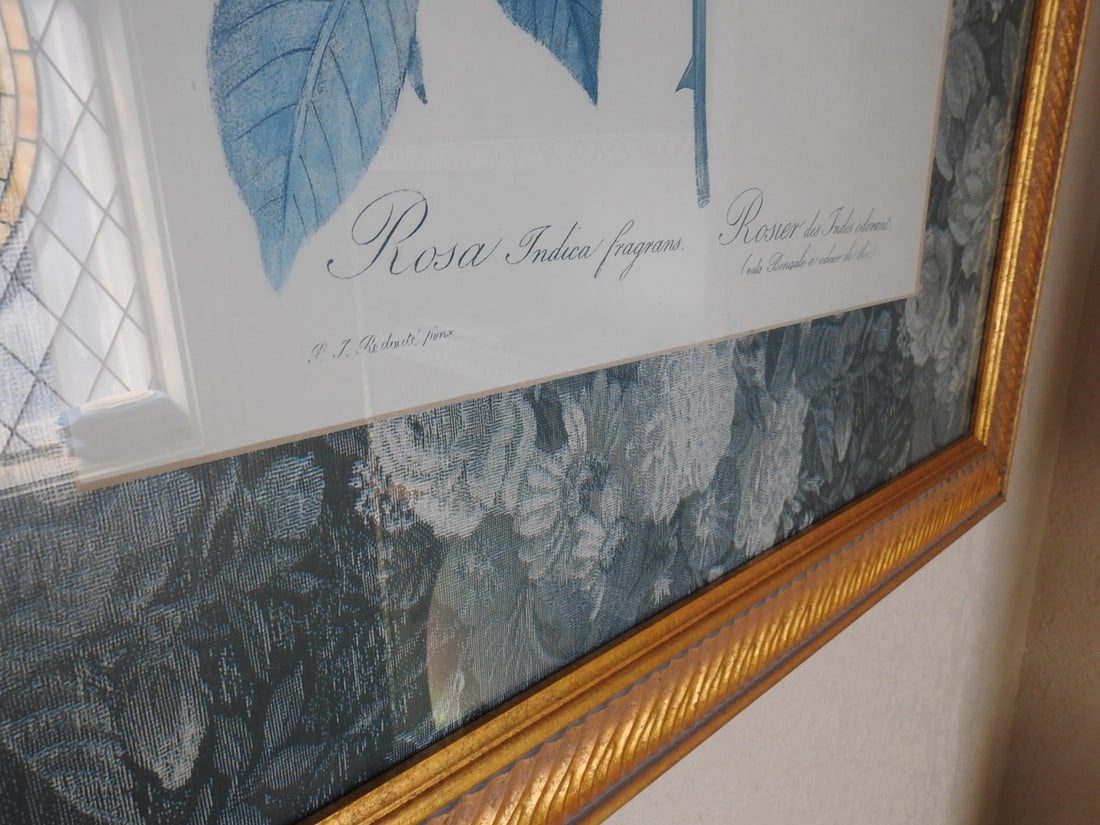 Vintage Botanical Framed Print - 4
