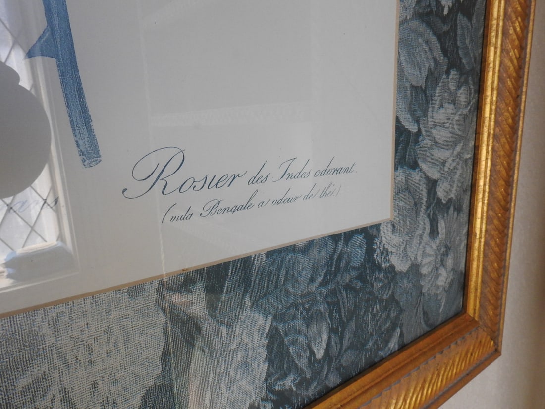 Vintage Botanical Framed Print - 5