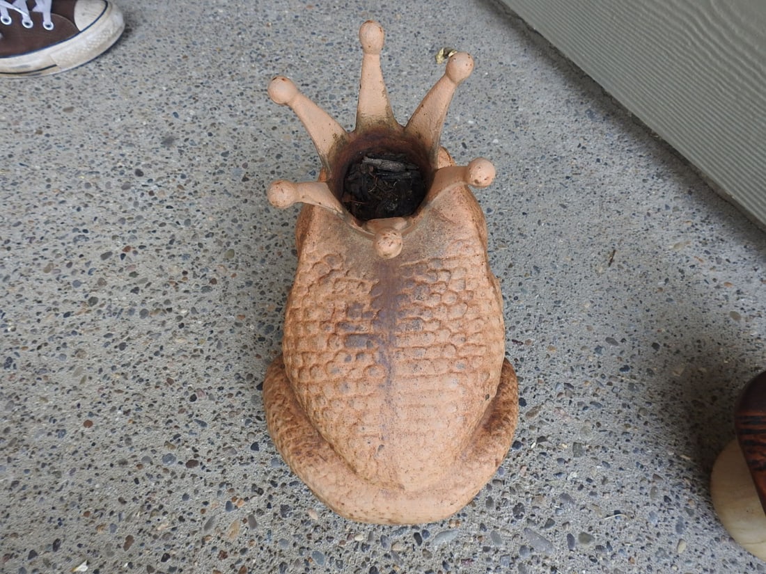 King Toad with Toadstools Garden Decor - 7