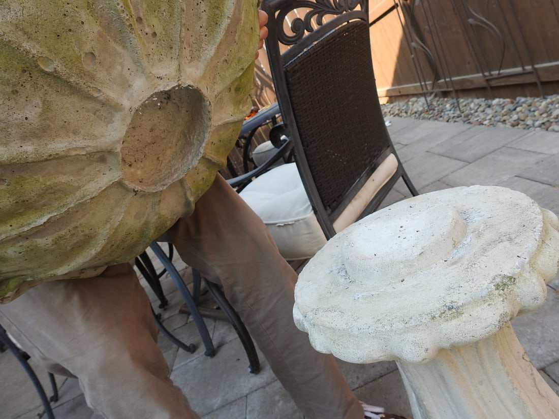 Concrete Bird Bath with Pedestal Base - 5