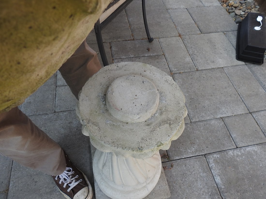 Concrete Bird Bath with Pedestal Base - 6