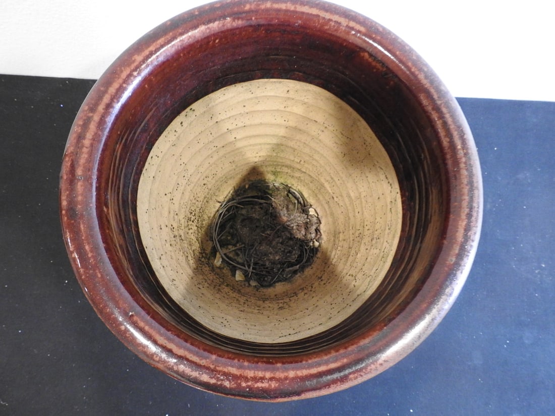 Textured Ceramic Planter - 2