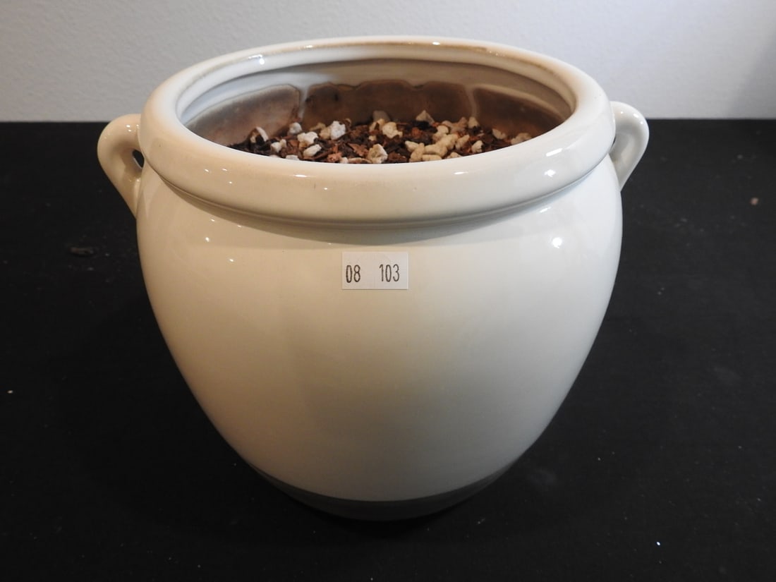 Handled Ceramic Planter (1 of 4)