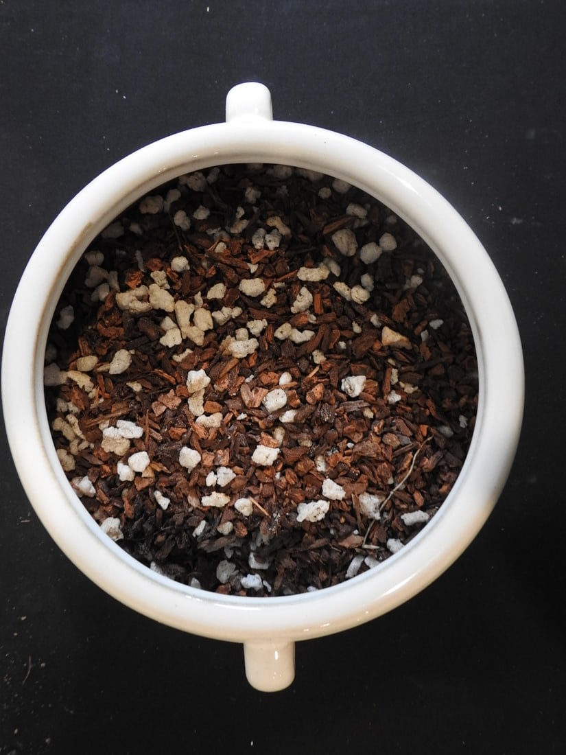Handled Ceramic Planter - 2