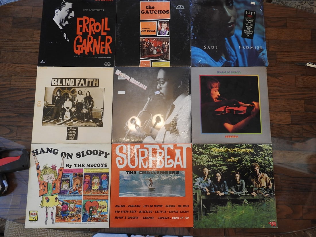 Lot of Nine Assorted Vinyl Records (1 of 1)