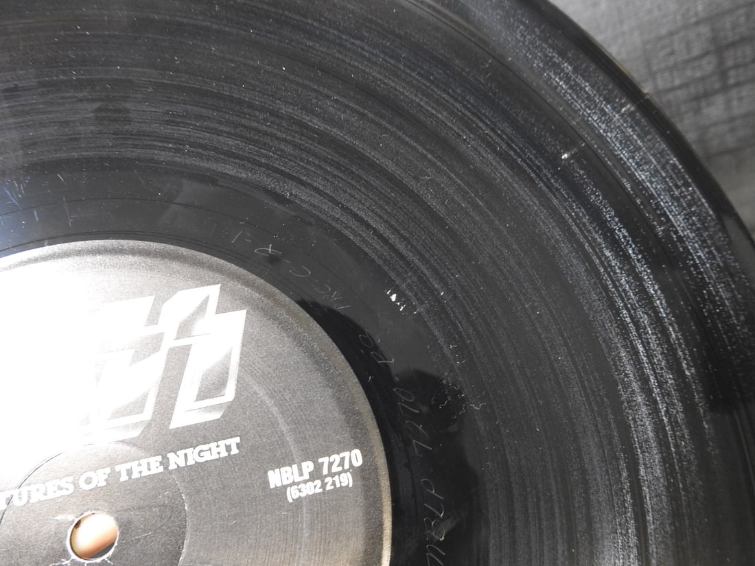 KISS Creatures of the Night Vinyl LP - 4