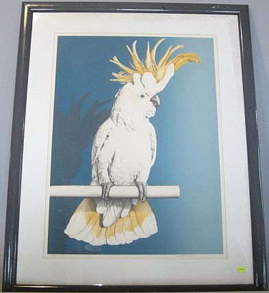 Signed Tommy Dale Palmore Cockatoo Print: Perched cocatoo with raised crown, signed "Tom Palmore 80", 36/50. H.35" by W.26".