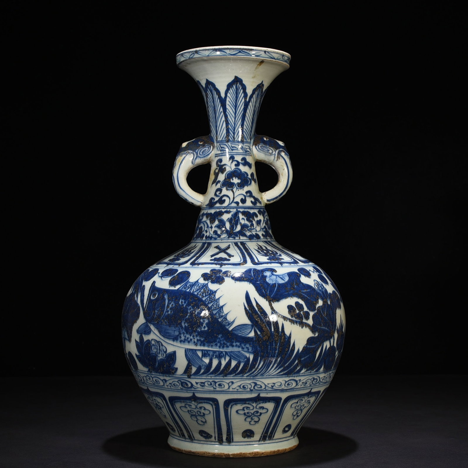 An Exquisite Chinese blue and white fish and algae pattern amphora (1 of 9)
