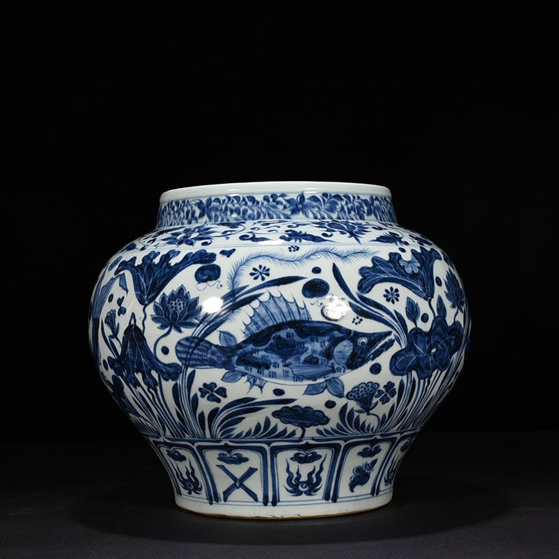 An Exquisite Chinese blue and white fish and algae pattern jar (1 of 9)