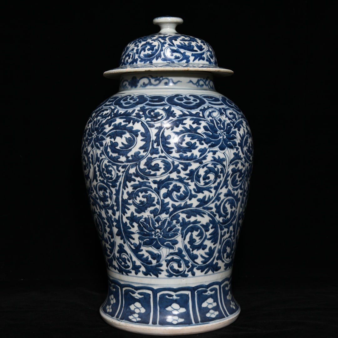 An Exquisite Chinese blue and white flower pattern general jar (1 of 9)