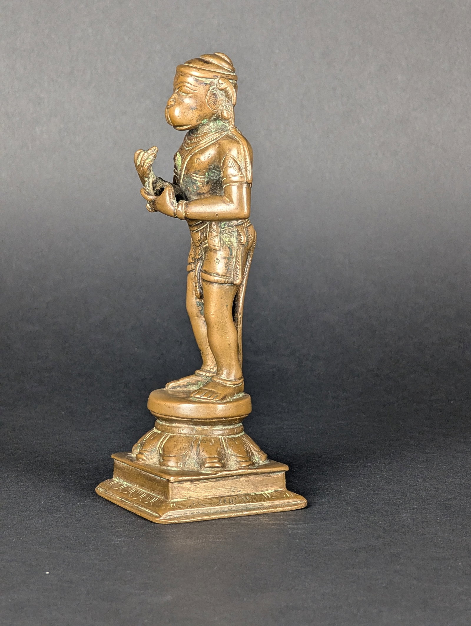 Anjaneya Hanuman - 3