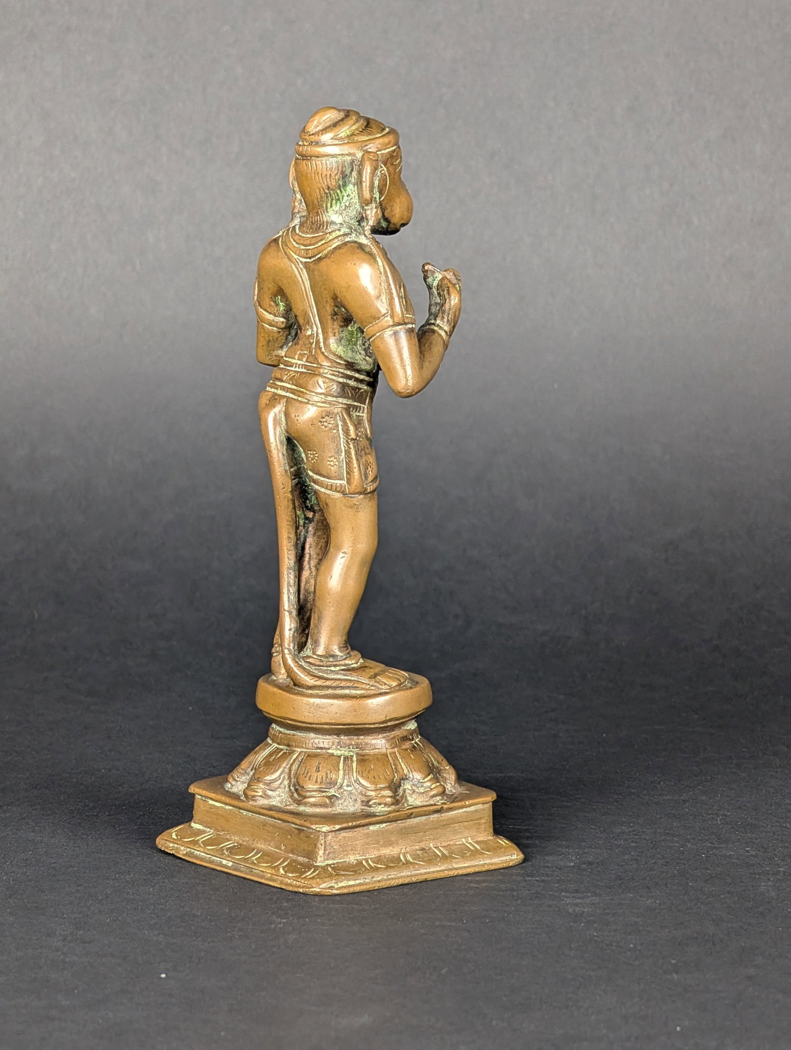 Anjaneya Hanuman - 5