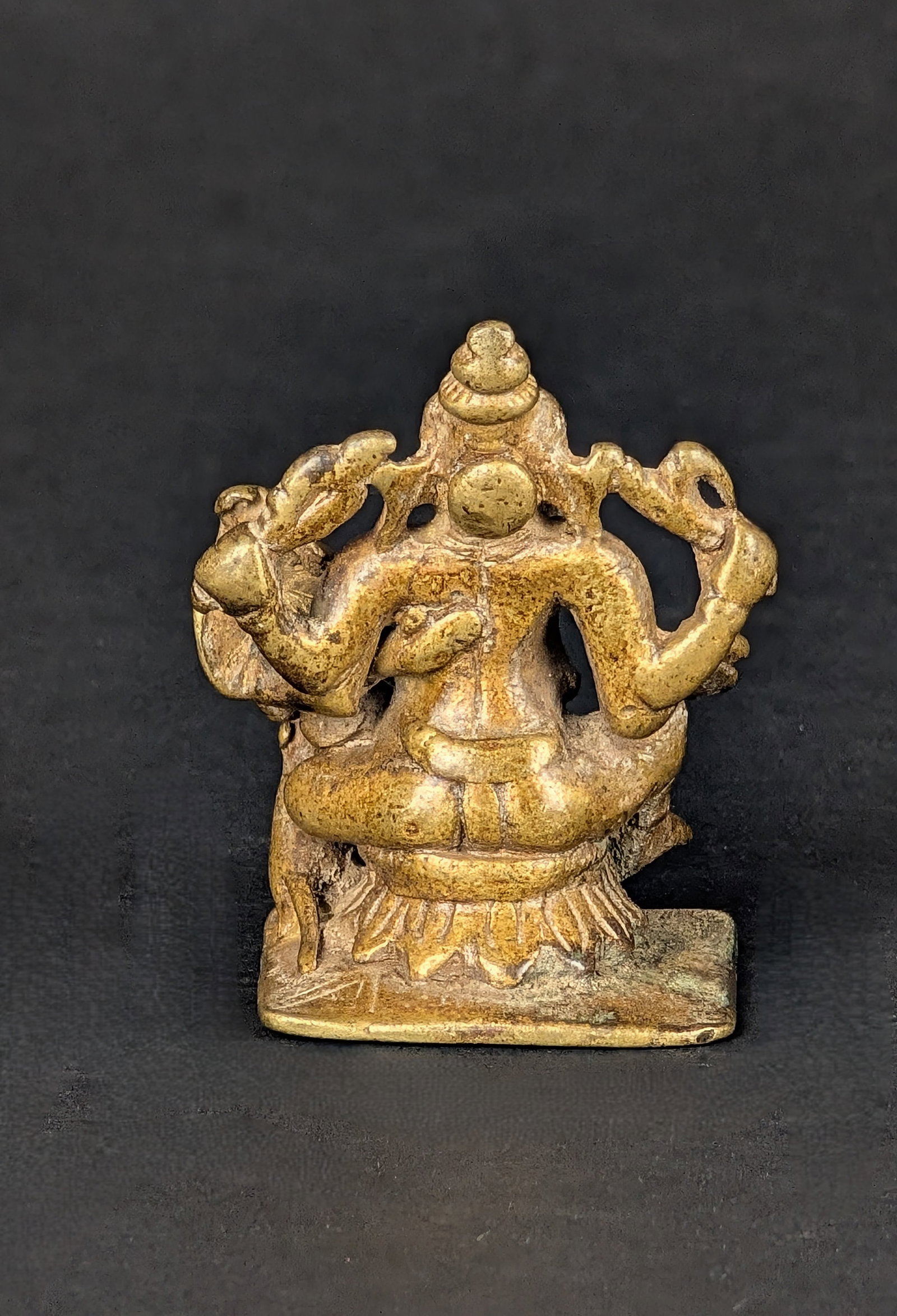 Sakthi Ganapathi - 7