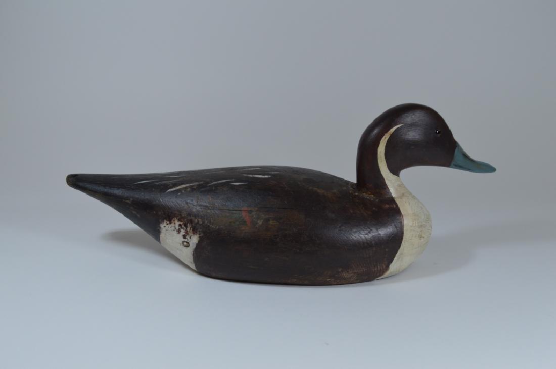 Elmer Crowell Drake Pintail Duck Decoy (1 of 4)