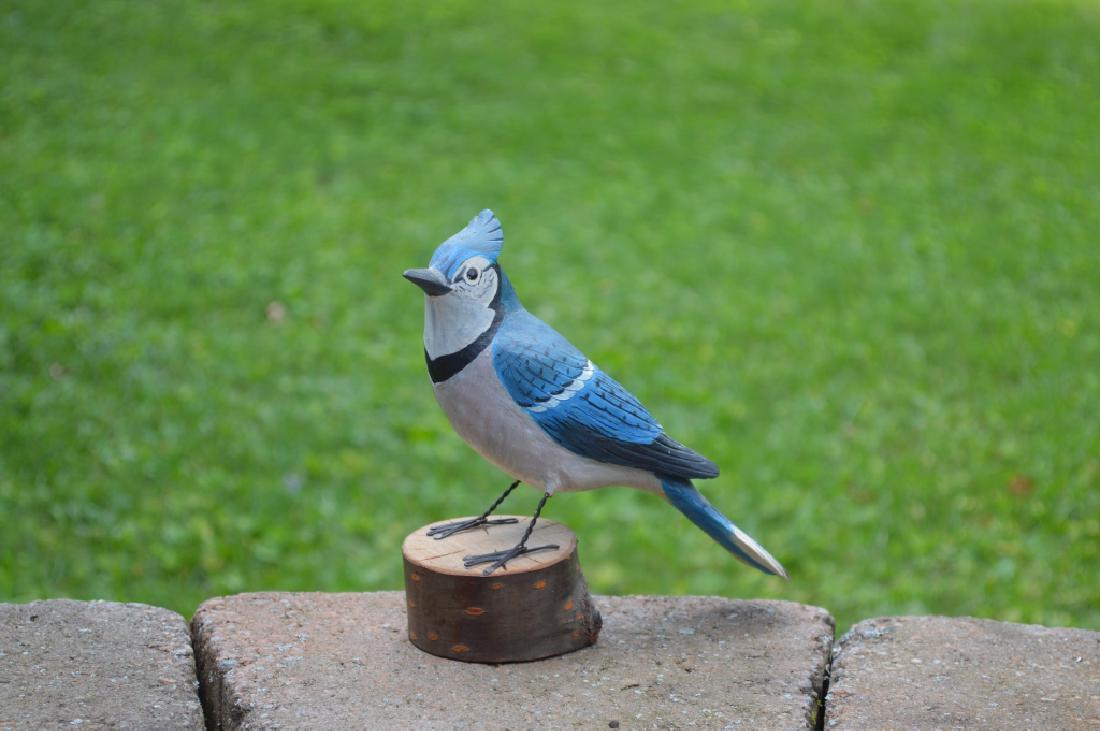 Hazel Tyrell Blue Jay (1 of 9)