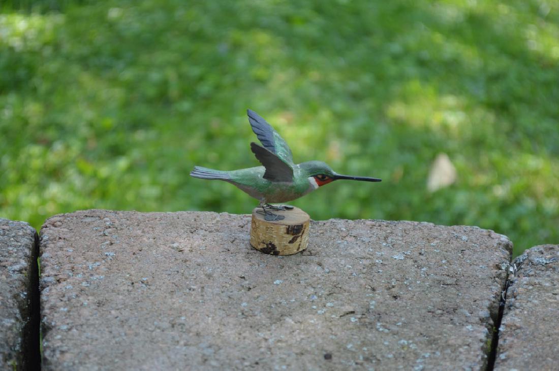 Hazel Tyrell Hummingbird (1 of 7)