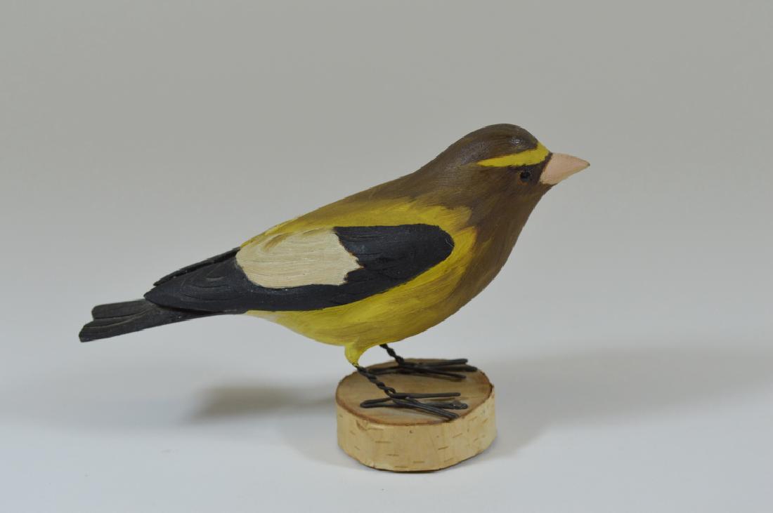 Hazel Tyrrell (Canton, NY) Evening Grosbeak (1 of 4)