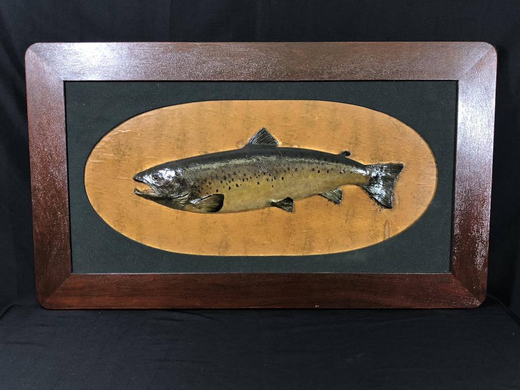 Billy Hatch Skin Mount Lake Trout: Cornish, Maine. In the style of Nash. Mounted on a large rectangular frame. 25" x 42 1/2 " frame. From a private collection in Maine. Fish is 25 inches long.