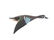 Roy Conklin Half Body Flying Blue Wing Teal - 2