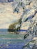Thomas Herbert Smith Oil on Canvas Winter Scene - 2