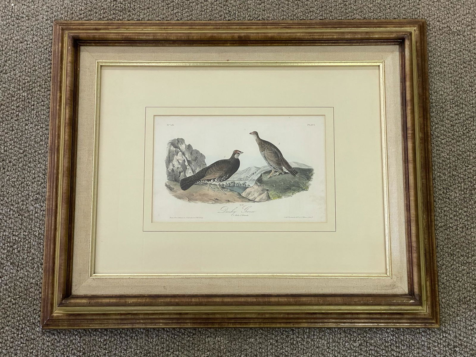J.J. Audubon "Dusky Grouse" Octavo: Pl. 295. Hand colored lithograph by J.T. Bowen. Sight size 6" x 9 1/2". Overall size 17" x 21". Framed and matted. From a private collection on Upper Saranac Lake in the Adirondacks.