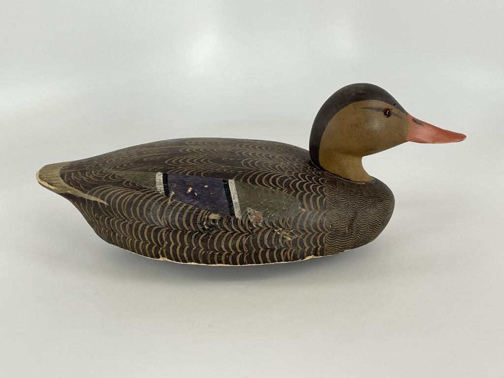 Ken Harris, Woodville, NY, Hen Mallard (1 of 4)