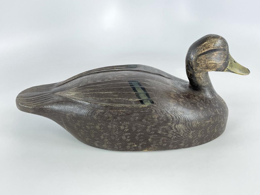 Spud Norman Black Duck Decoy: Kingston, Ontario. Circa 1970. Exact decoy on page 35 of the Decoys of the Thousand Islands Book.